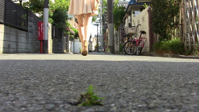「小さな小さな雑草の物語」