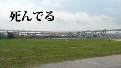 「死んでる」